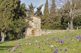 Pomarance Toscana