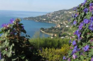 Latte di Ventimiglia Liguria