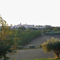 Petriolo Le Marche