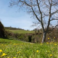 Arcevia Le Marche