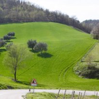 Arcevia Le Marche