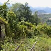 Frontone Le Marche