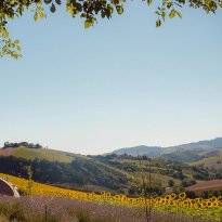 Carassai Le Marche