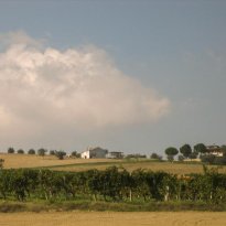 Montalto delle Marche Le Marche