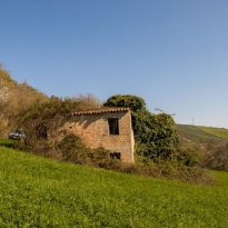 Montalto delle Marche Le Marche