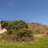 Montalto delle Marche Le Marche