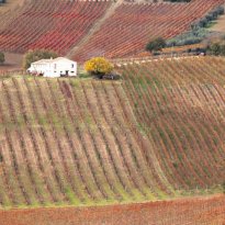 San Marcello Le Marche