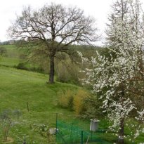 Acqualagna Le Marche