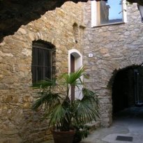 Cipressa Liguria